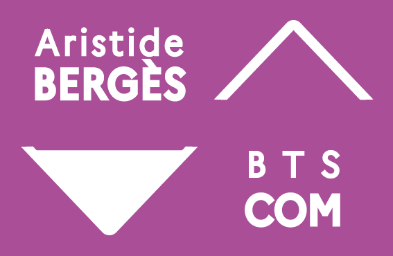 Les Culturos et les réseaux sociaux du BTS Communication Bergès